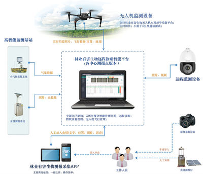 林业有害生物防治解决方案