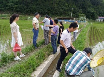 宁国:全国农技推广服务中心、中国水稻研究所、浙江省农科院植保所专家来宁国市指导水稻病虫绿色防控和农药减施增效