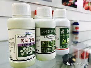 安全 环保 高效的生物农药,你了解多少