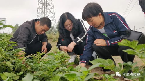 专注生物农药研发 服务绿色农业发展 记甘肃省科学院生物研究所农业生物技术研究室主任刘锦霞