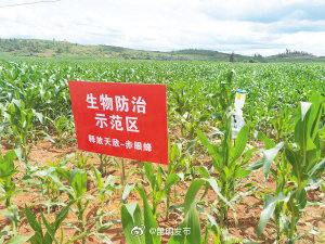 《农作物病虫害防治条例》宣传月活动启动