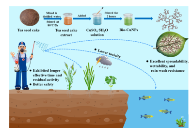 《Chemical Engineering Journal》刊发我校操海群教授团队关于生物合成纳米铜的最新研究成果