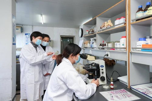 合集丨农业新链 微而不凡