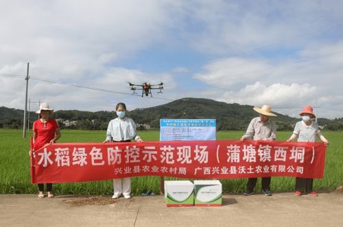 高科技 兴业用无人机统一喷施生物农药作业,辐射区共10000多亩