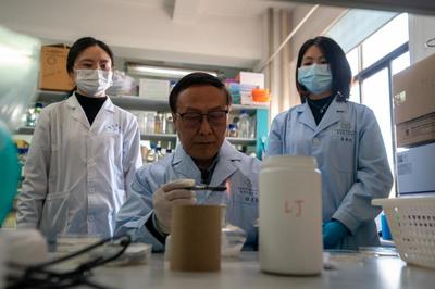 代表委员履职故事|不负重托 同心圆梦--代表委员的履职故事