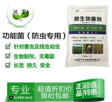 高清图片