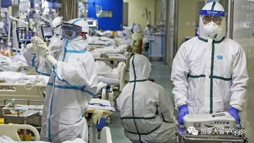 重磅 中美联合研制出一种新冠病毒疫苗,比预定时间缩短一倍