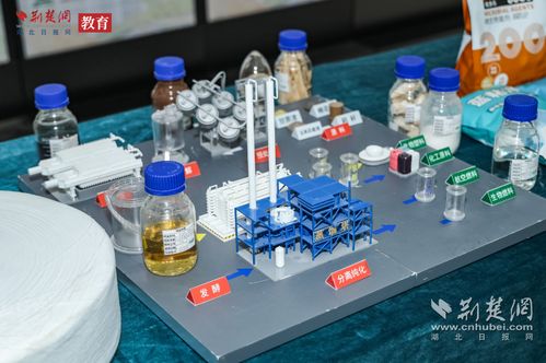 湖北大学造 菌 突围 生物制造点亮 中国芯