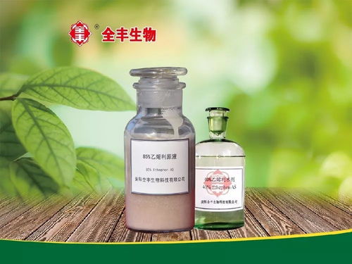 植物生长调节剂在花卉上的应用一水仙篇