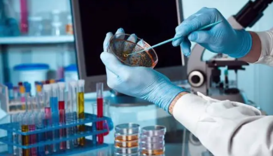 我国微生物代谢产物农药研发的应用与展望! - 