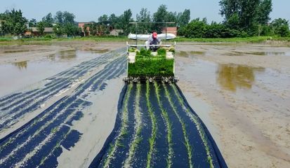 宜化全生物降解材料与生物农药技术在河南的推广与研发