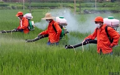 生物基材料技术研发视角下的欧盟茶叶进口限制 是刻意针对还是另有原因？