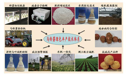 “马铃薯化肥农业增效技术研发、产业化与精准扶贫团队”获得2019年度中国科学院科技促进发展奖