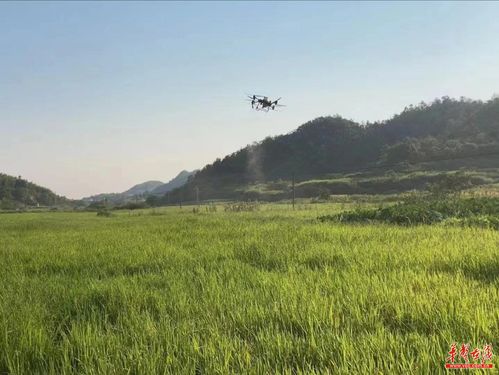 耒阳 把民生实事办到群众心坎上