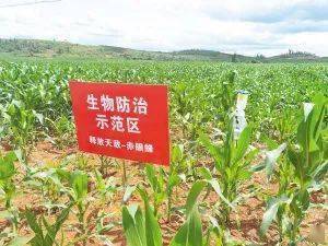 昆明市《农作物病虫害防治条例》宣传月活动启动 坚决打赢“虫口夺粮战”
