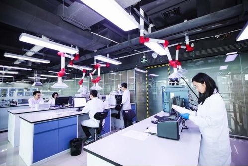 安徽百纳药业,多年致力痛风降酸研究