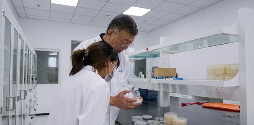 创新开发微生物农药产品,松江这家企业获得发明金奖