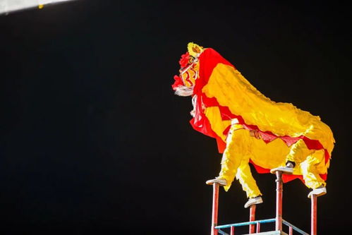 全国非遗绝技轮番上演 绝世千鸟图惊艳亮相 中国丹寨非遗周是个什么周